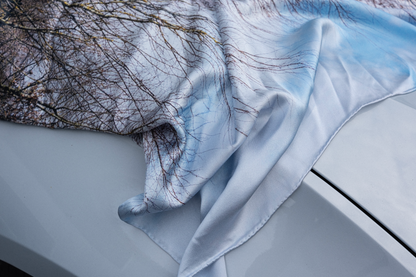 Boulder_Versailles_1